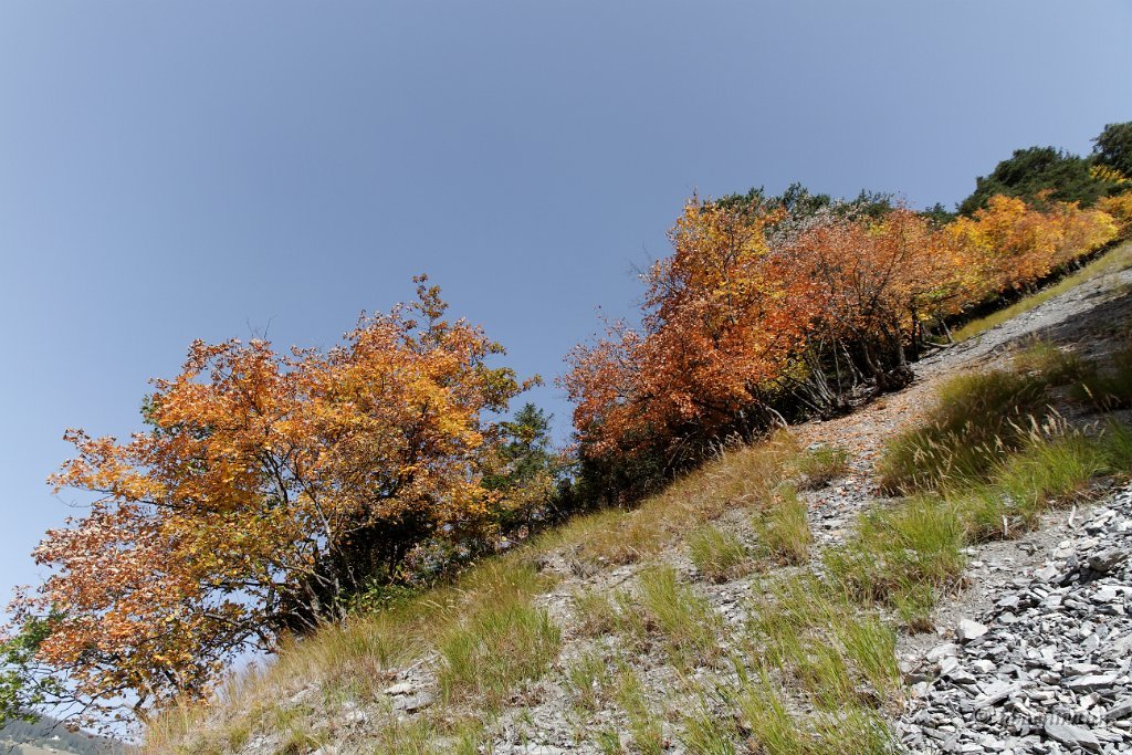 20101009_034